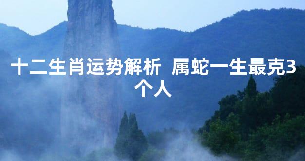十二生肖运势解析  属蛇一生最克3个人